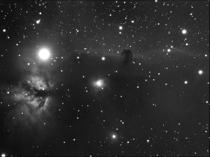 NL20081227chevalad8x5i