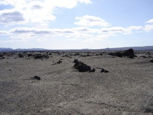 terrainDentrainement