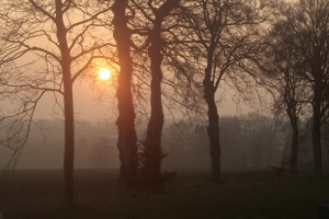 CoucherSoleil_MG_6702